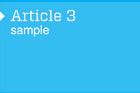 article3